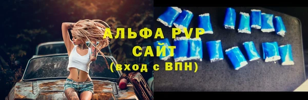 PSILOCYBIN Беломорск
