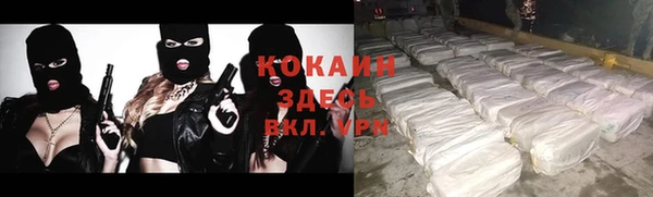 PSILOCYBIN Беломорск