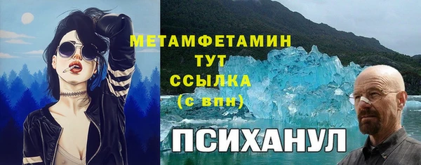 PSILOCYBIN Беломорск