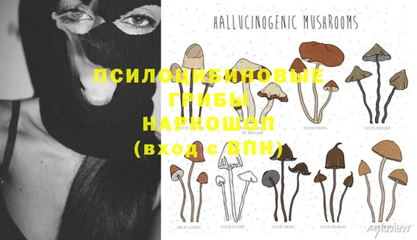 PSILOCYBIN Беломорск