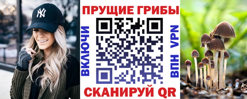 Галлюциногенные грибы мухоморы  блэк спрут вход  Чишмы  дарнет шоп 